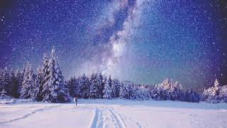 Omemma Chandler Moore Office In Los Angeles