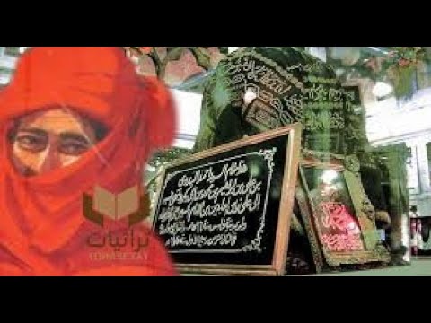 السيد احمد البدوي بطنطا بين الحقيقة والأونطة