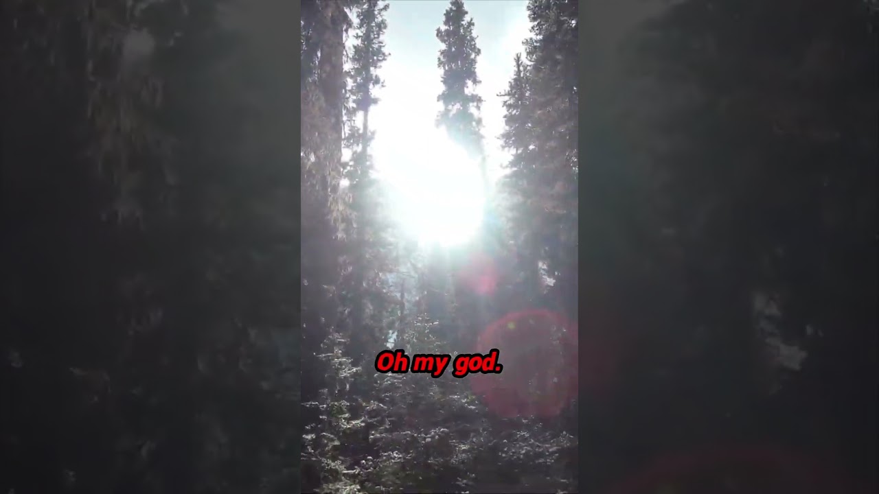 That moment when the view hits different! 🤯 The payoff after the long trek!