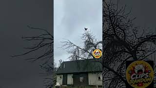 🤣videos graciosos 🤣 #fails #funny #viral #humor