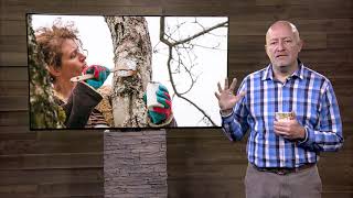 Garden Tip 24 - Wounding Dressing Myths