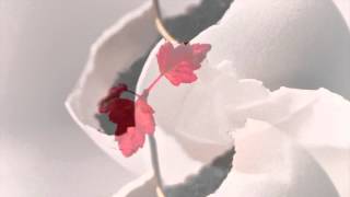 Born Again (Indie Rock Instrumental)