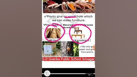 Grade KG evs dated 2 10 21