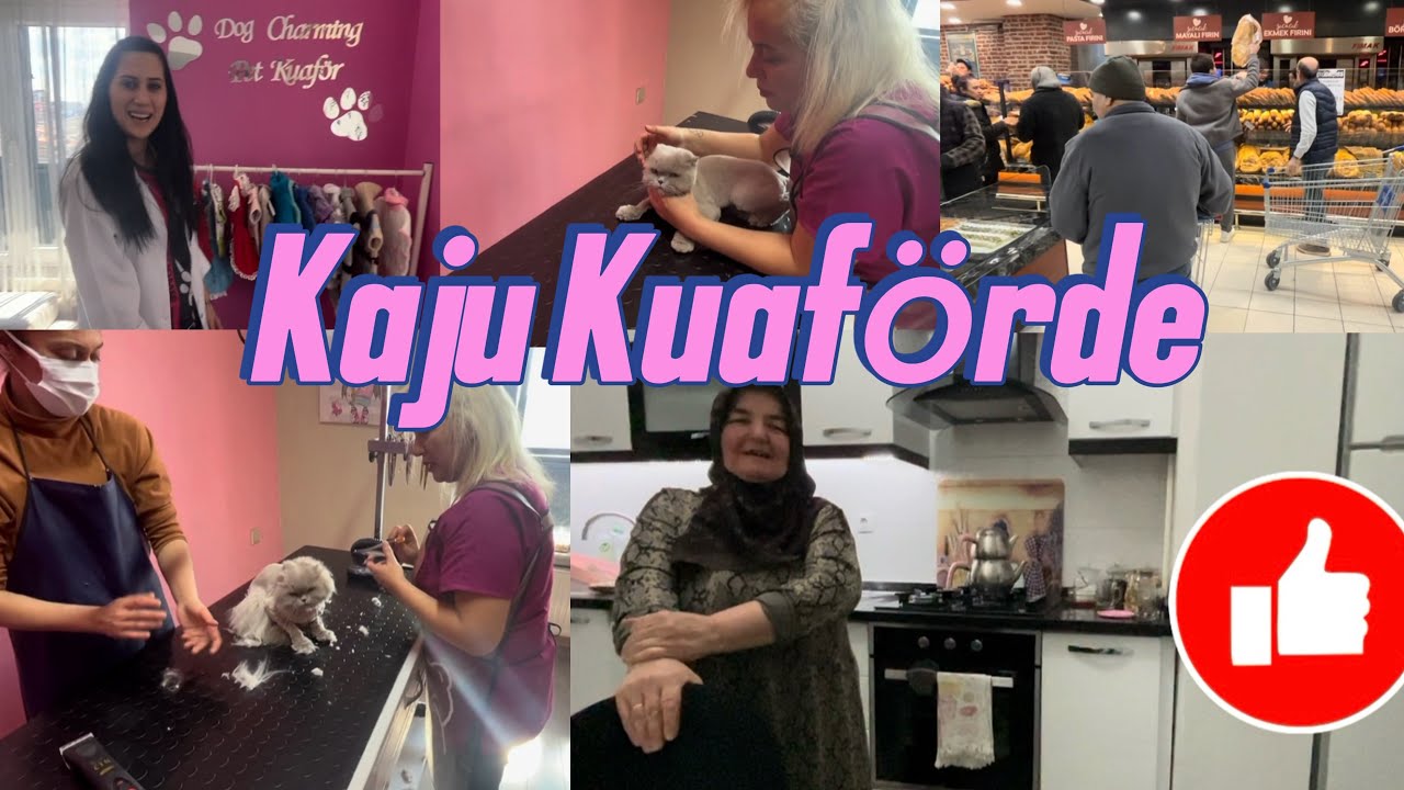 Kajunun Kuaför Macerası✅Annem Ve Babamla Sosyete Pazarındayız❤️ #cat #cats #catvideos #keşfet 