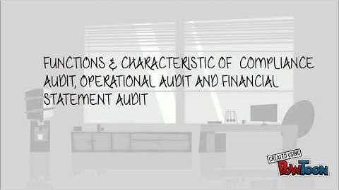 Chapter 1 : Introduction To Auditing