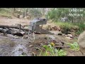 Returning to the spot I Yabby pumped. Did I find Gold in the hard pack