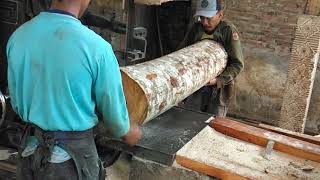 Penggergajian kayu sengon besar besar ,sawmill kayu