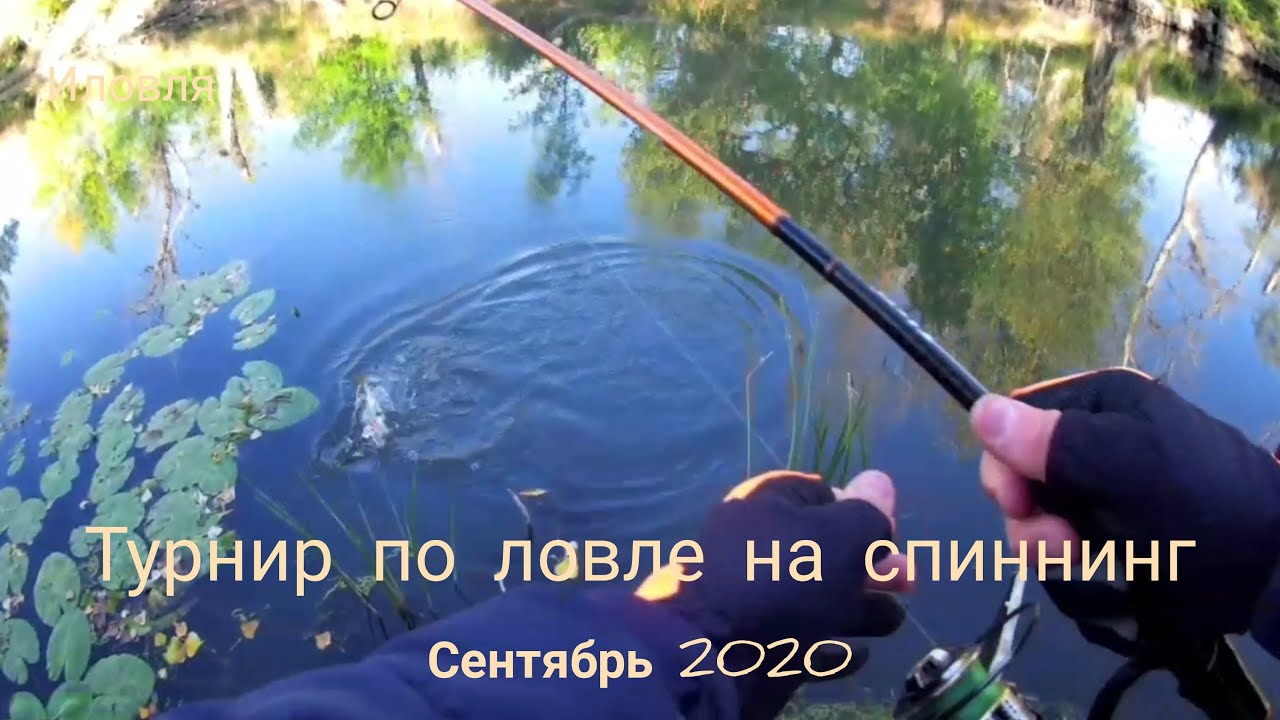 Турнир по ловле на спиннинг с берега. Иловля, сентябрь 2020.