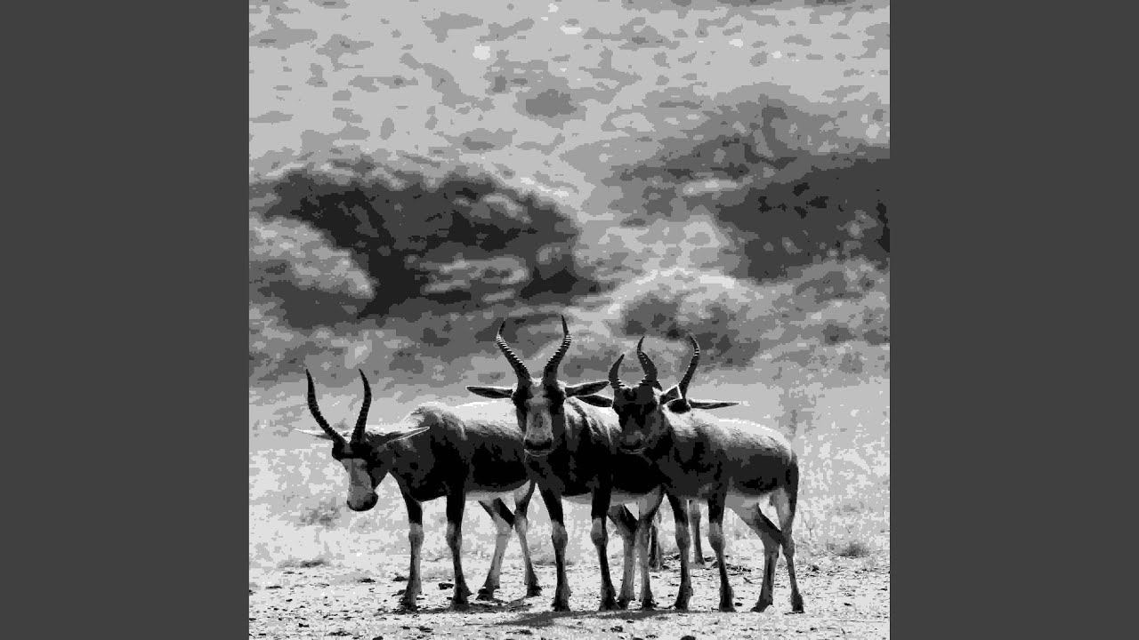 Progresive 2 Tech House auf YouTube ansehen Progresive 2 Tech House auf YouTube ansehen