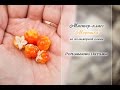 МК "Морошка"✨ Из полимерной глины