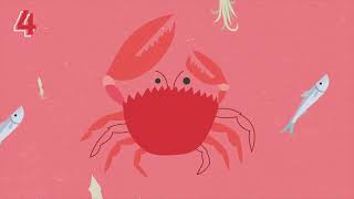 What is our Impact on the Ocean
