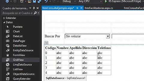Creando Consultas en Asp.Net 1 de 3