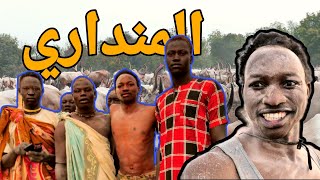 يقدسون البقر  قبيلة المنداري  واحد من اغرب العادات والتقاليد في العالم . جنوب السودان في ا