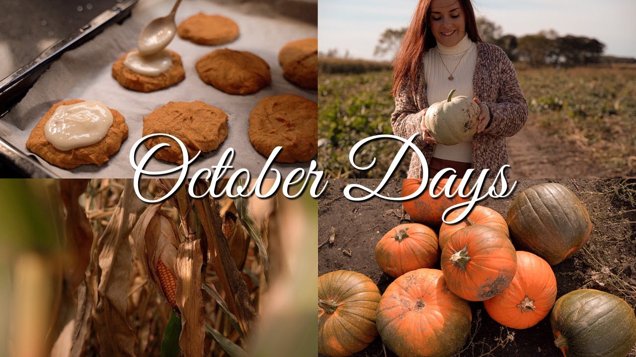 уютный осенний день в Англии - сбор тыквы, осенняя выпечка, тихий влог осеннего дня