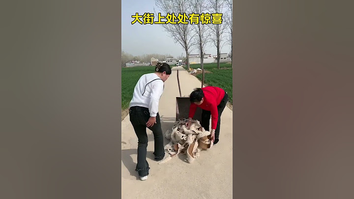 There are surprises on the street.