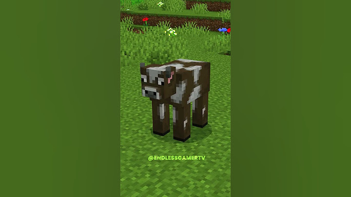 Insane Minecraft Texture Packs 💀