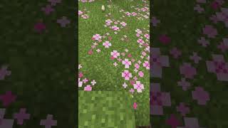 6 เมษายน ค.ศ. 2025