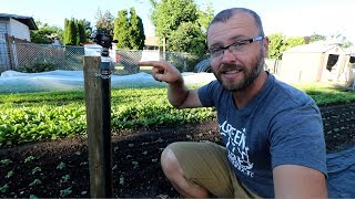 I Ditched Drip Irrigation And Replaced It With This AMAZING Watering Solution!