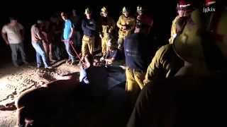 Firefighters Rescue a Trapped Fallen Horse