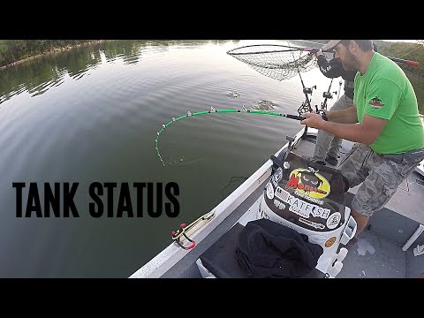 Catching MULTIPLE Big Catfish In The Fast Current (Ft. Reel Beasts