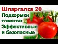 ШПАРГАЛКА 20  Подкормка томатов и огурцов  Дозировка