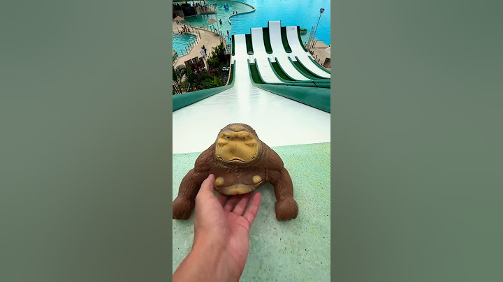 The Ultimate Squishy Monkey Waterslide Experiment