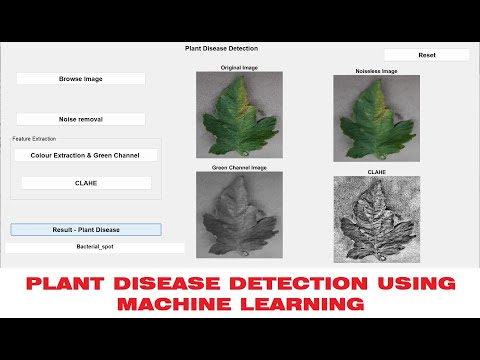 PLANT DISEASE DETECTION USING MACHINE LEARNING
