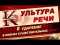 📚 Ударение в именах существительных.  Культура Речи 📚