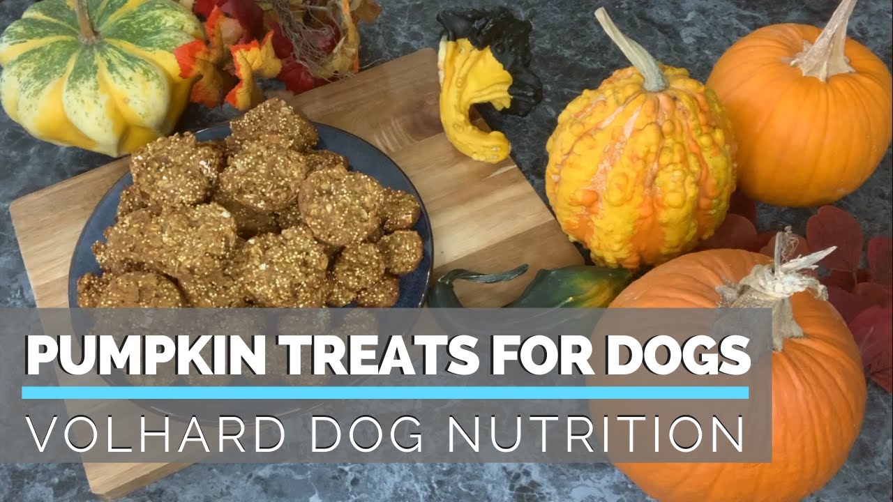 fiber for dogs pumpkin
