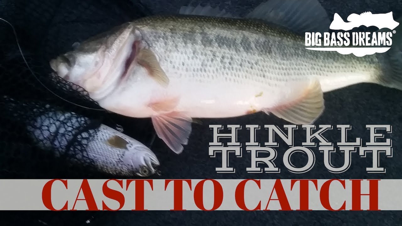 Hinkle Trout Eating Bass Cast to Catch YouTube