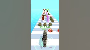 Doggy run gameplay walkthrough 🐕🥰 | All levels | Android, iOS mobile | New update #shorts games