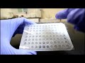 How to use Microplate Sealing Film