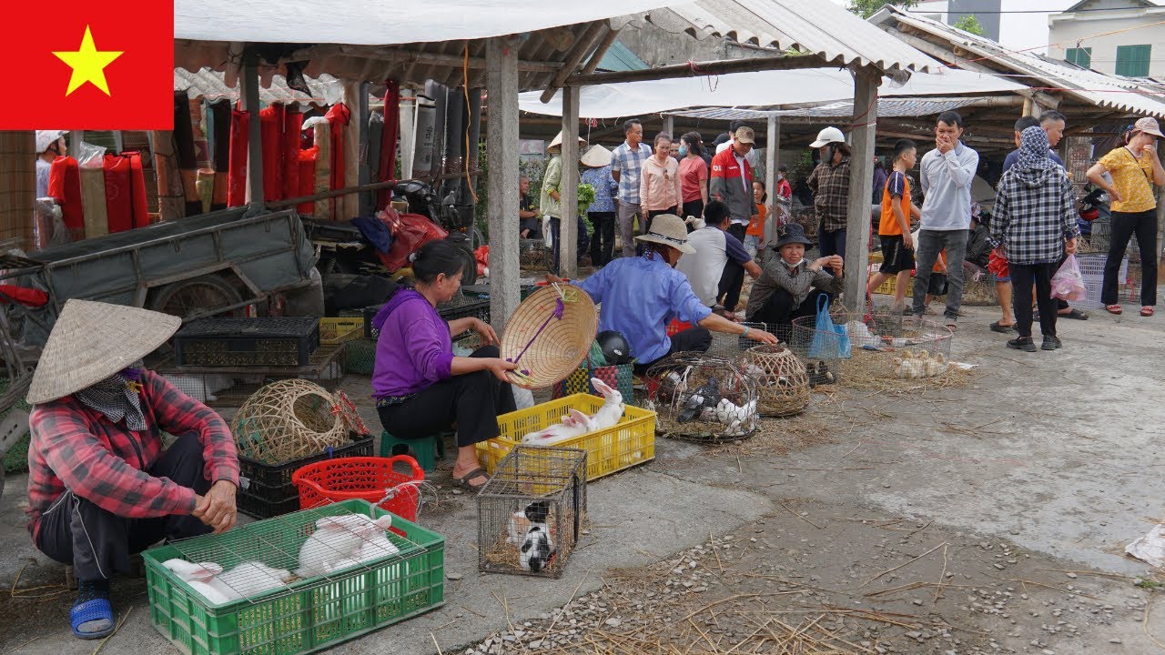 День на рынке Бао Йен, Фу Тхо — традиционный вьетнамский рынок барабанов, богатый сельской культурой