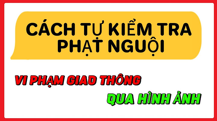 Tra cứu lỗi vi phạm qua hình ảnh năm 2024