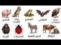 10 حيوانات حر م الإسلام أكلها بشكل قاطع 
