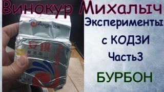 Винокур Михалыч Эксперементы с кодзи БУРБОН СС