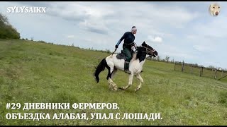 #29 ДНЕВНИКИ ФЕРМЕРОВ, ОБЪЕЗДКА АЛАБАЯ, УПАЛ С ЛОШАДИ