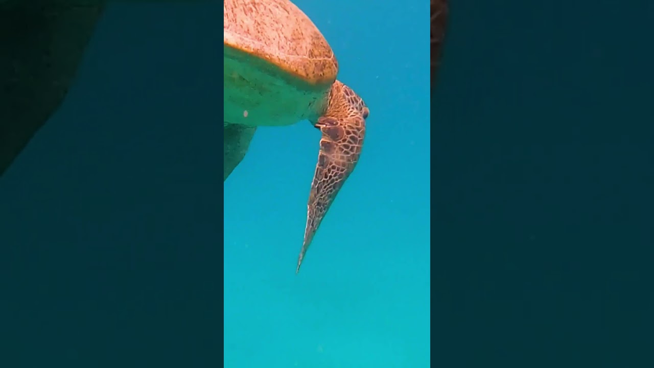 Places to go in Malaysia 🇲🇾 