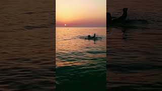 Swim in Bahrain Ocean #shorts #short #travel #youtubeshorts #ytshorts #ocean #sunset #bahrain #yt
