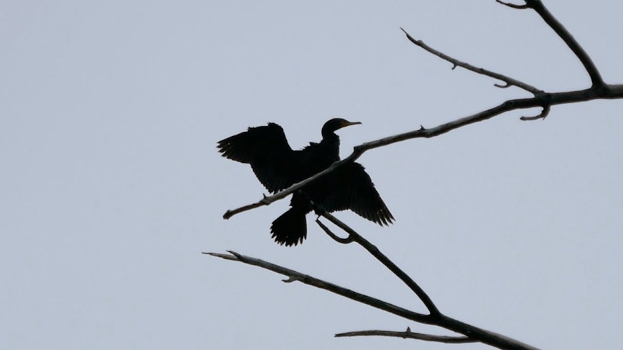 Canoeing Lake Josephine & Johanna