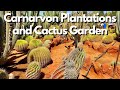 Things to do in Carnarvon, Australia