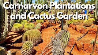 Things To Do In Carnarvon, Australia