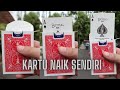 KARTU NAIK SENDIRI #rynku