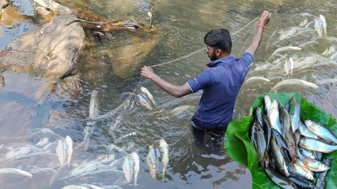व्हाळात पकडले कांडाळीने मासे , व्हाळातली मासेमारी | Traditional fishing in kokan 