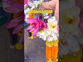 देवीची कृपा असेल, तेव्हाच पाय इथे येतात 🛕 #kolhapur #reelscreator #reels #viral #vlogger #mahalaxmi