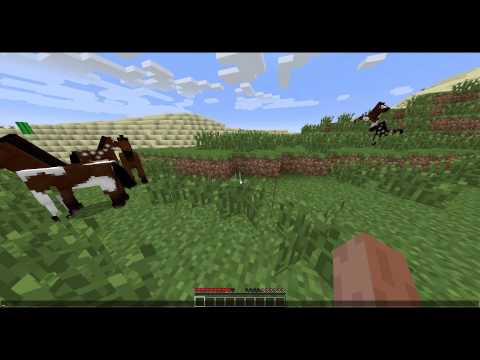 MoreCommands Command: clear