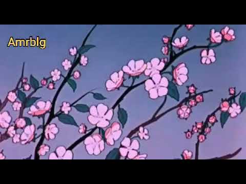 SUVILAL Boroonii Daraah Uner Lyrics