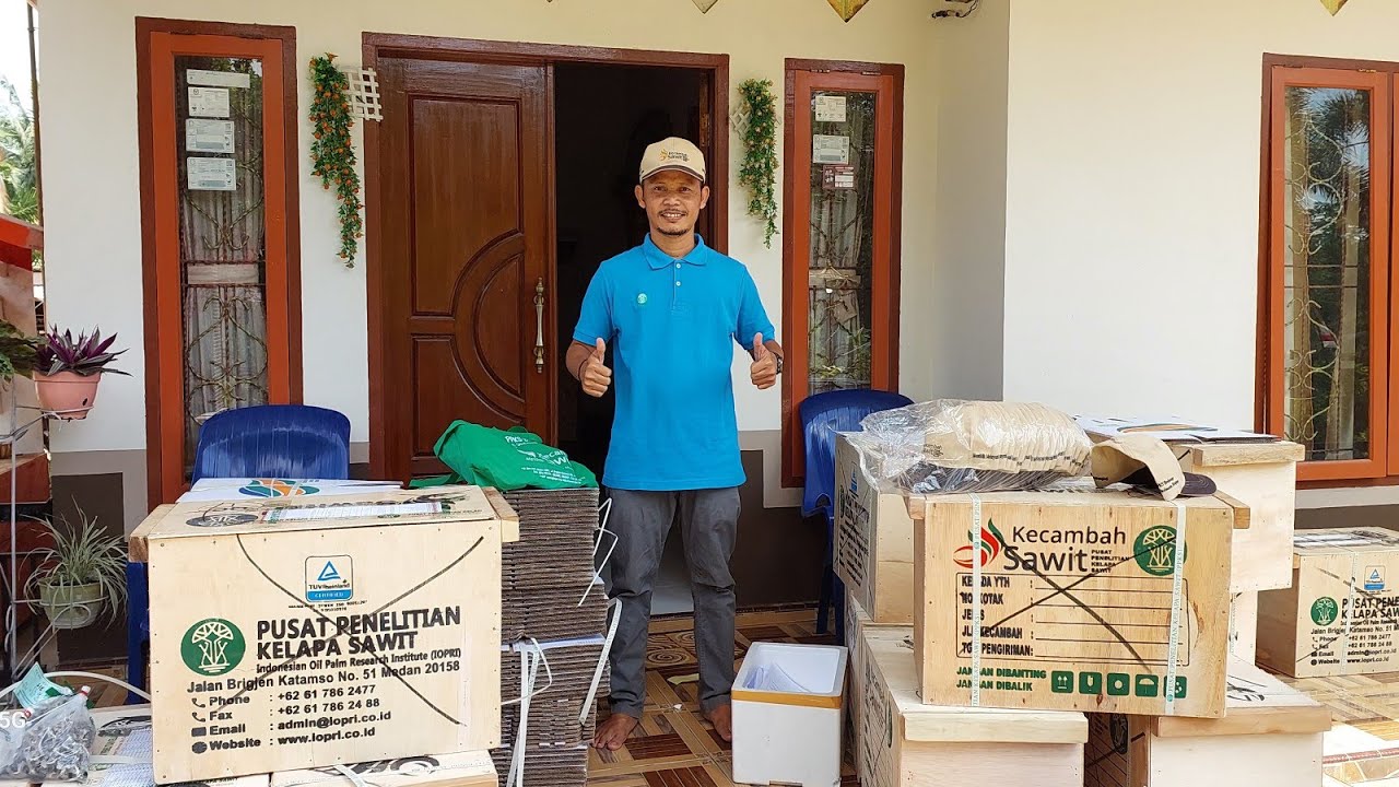 Ciri-Ciri Kecambah Resmi PPKS kemasan terbaru || WA : 08117182255