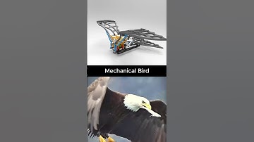 BIRD ALERT Mechanical Eagle Takes Flight in SOLIDWORKS! 🦅#3d #birds #flying #3ddesign #solidworks