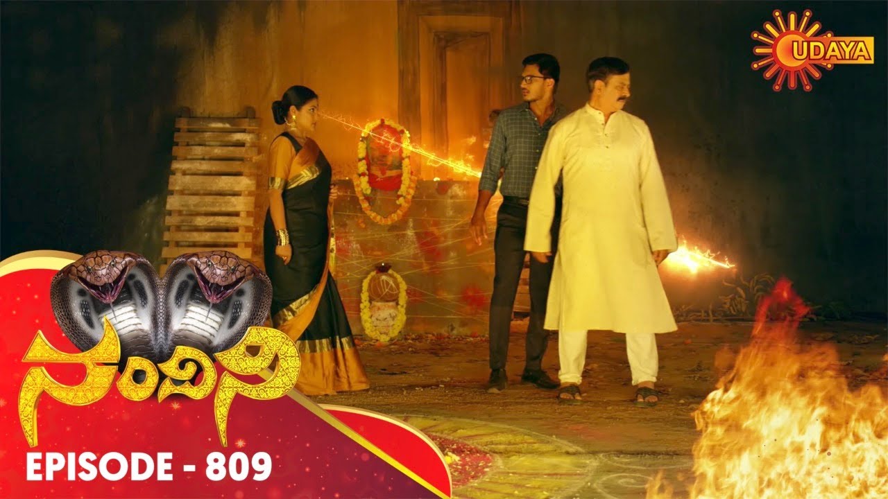 Nandini - Episode 809 | 2nd Dec 19 | Udaya TV Serial | Kannada Serial